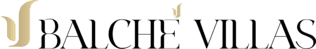 Logo TFS